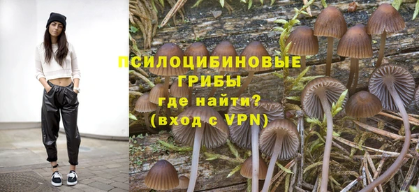 героин Ладушкин